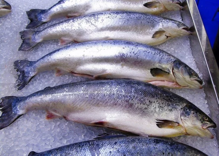 Неправильные названия рыб на нашем рынке Часть 2 Рыба, Рынок, Обман, Кулинария, Негатив, Длиннопост