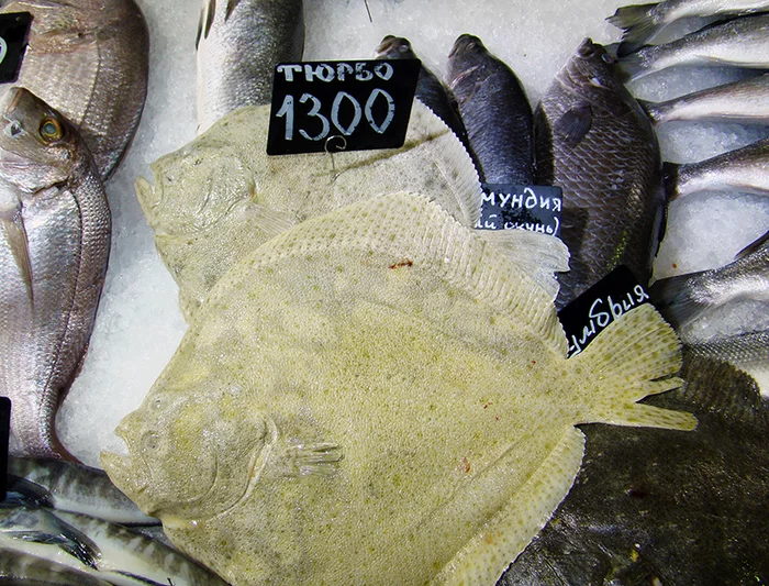 Неправильные названия рыб на нашем рынке Часть 2 Рыба, Рынок, Обман, Кулинария, Негатив, Длиннопост