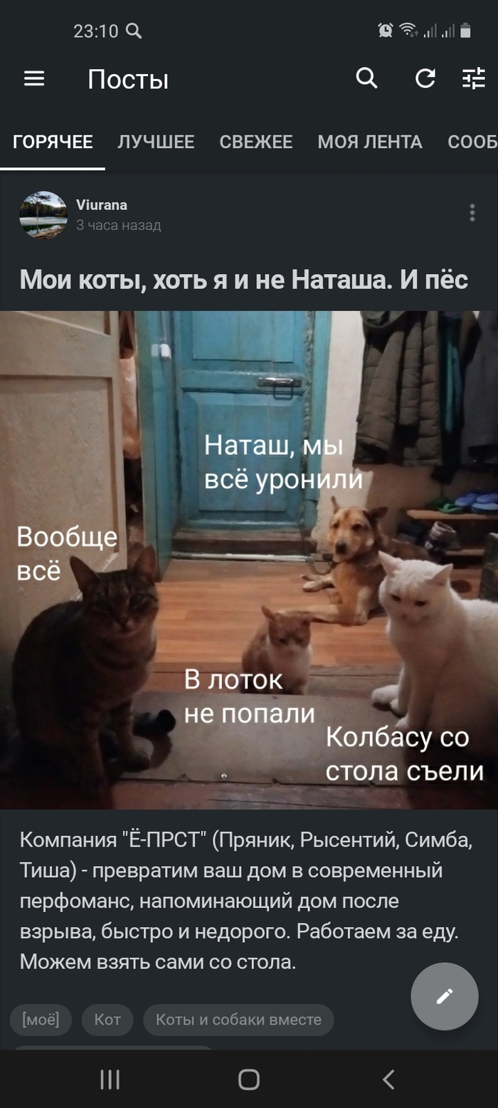    ,   , , 