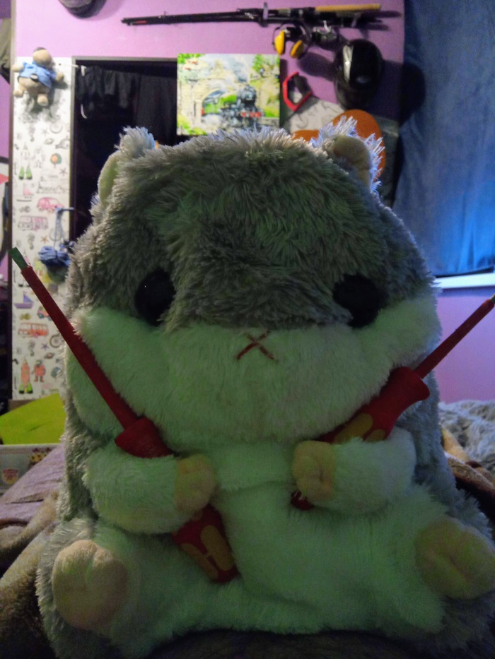 ��������