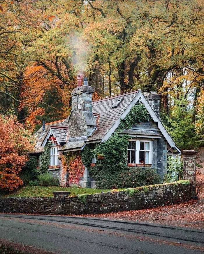 Somewhere in the UK - House, Great Britain, The photo, Ivy, Travels, beauty, Tourism