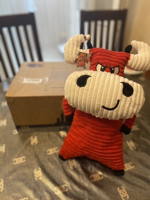 Anonymous Santa Claus on Pikabu 2020/2021 - My, Secret Santa, Gift exchange report, Gift exchange, Longpost