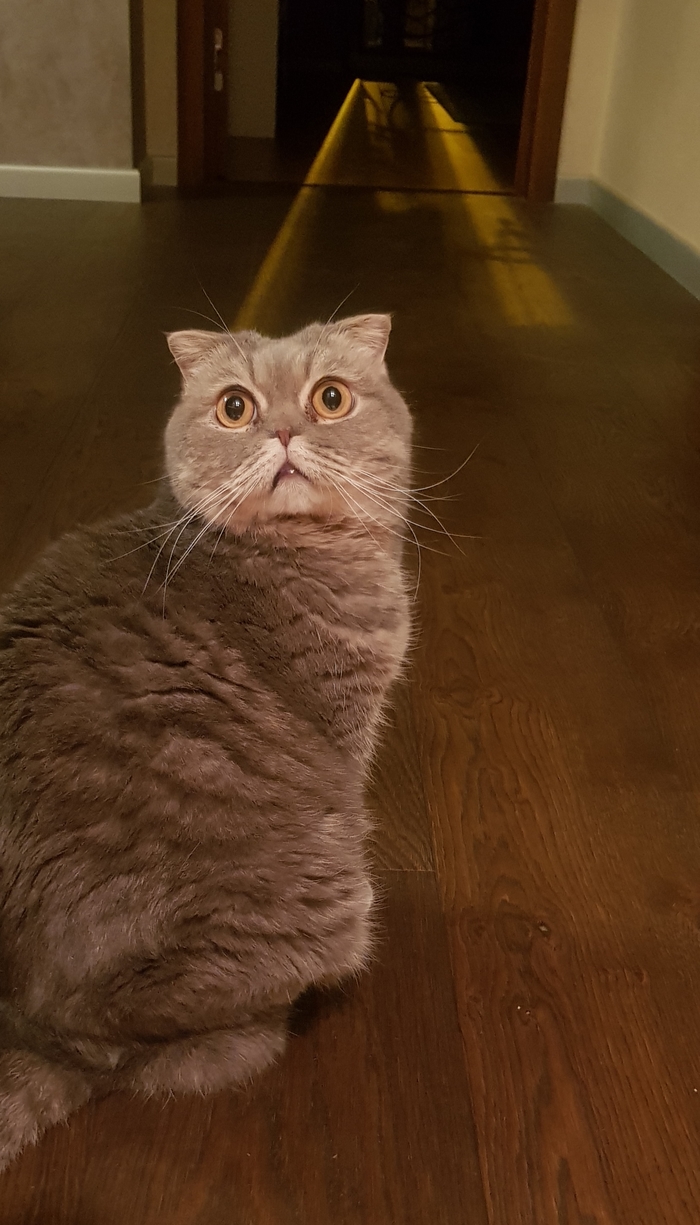 Когда взлетная полоса готова и ждёт тебя... но ты не готов