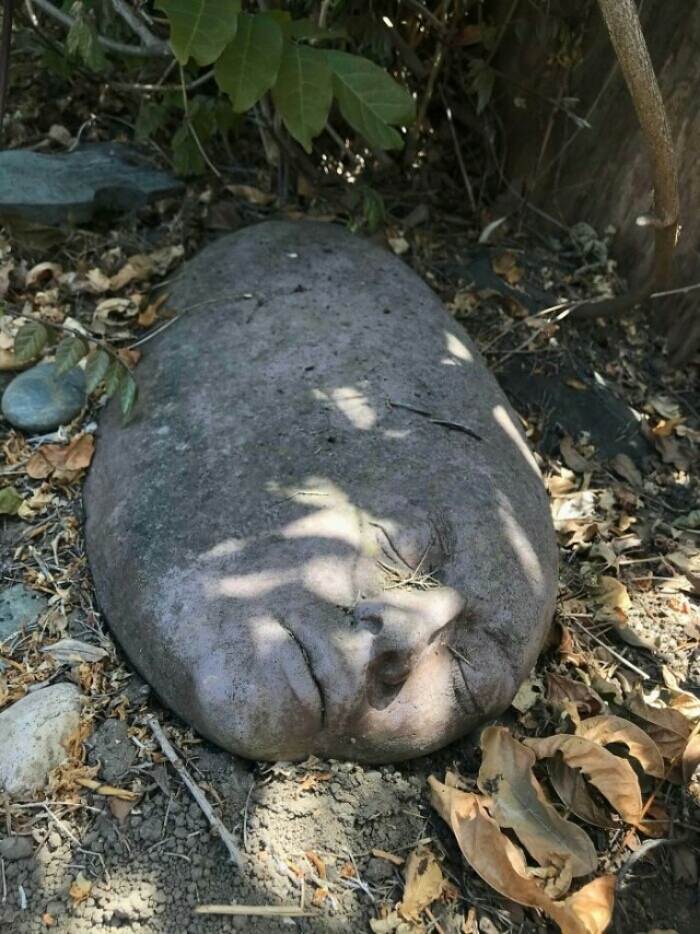 What are you - The photo, A rock, Face, Interesting, Sculpture