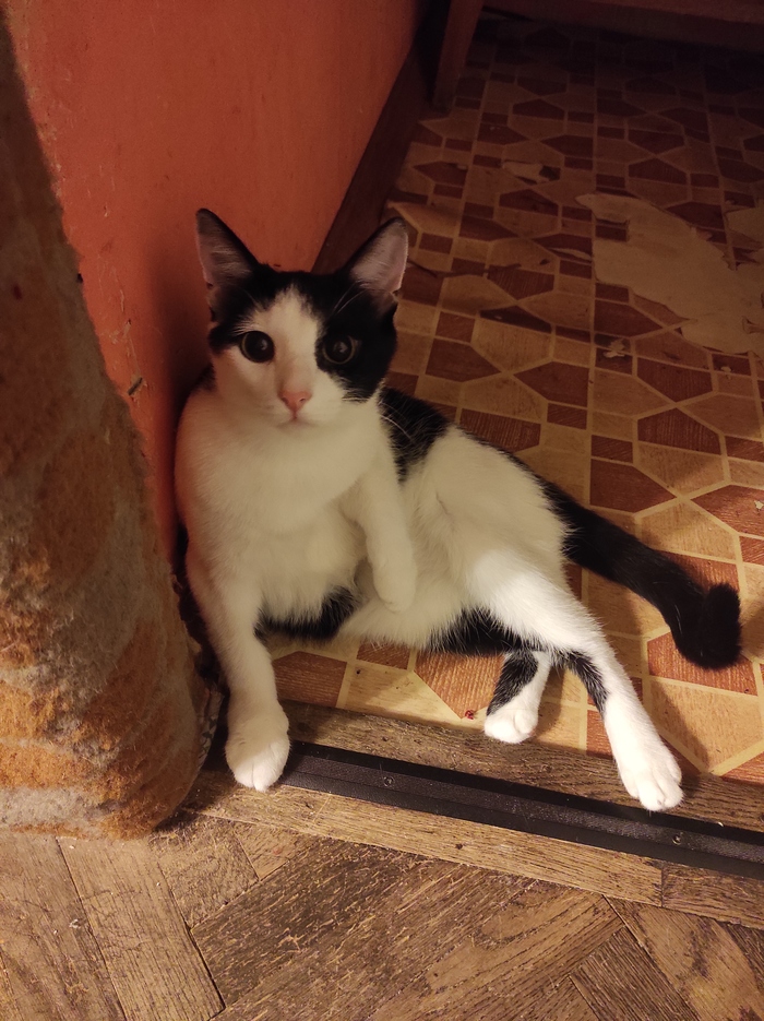 Как набрать минусов за 5 минут