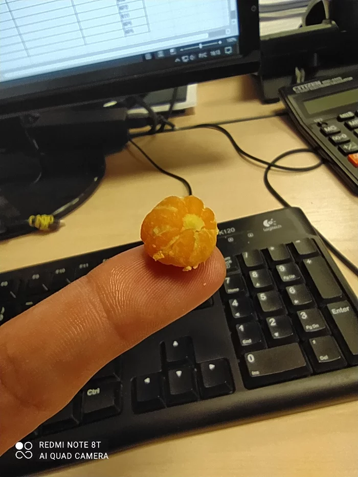 A baby tangerine for your feed! - My, Фрукты, Tangerines