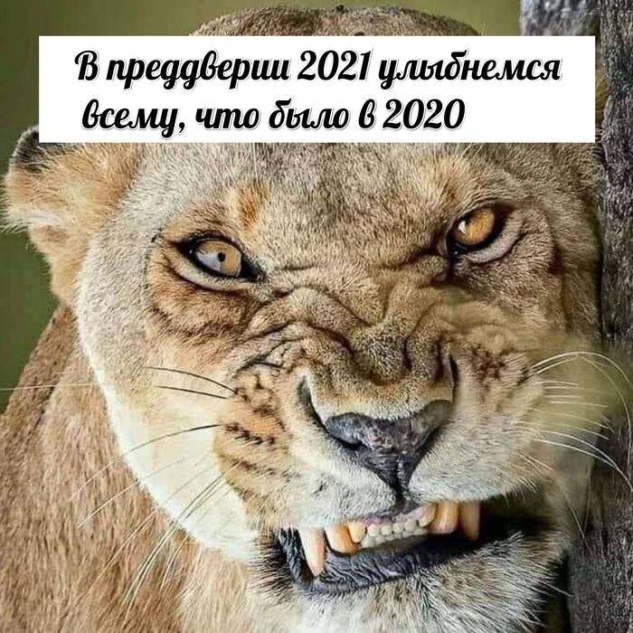  2020  , 2020
