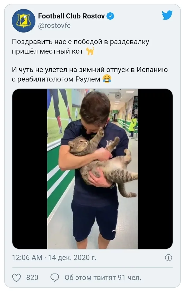 Милота дня от футбольного клуба Ростов - Милота, Кот, Фк Ростов, Twitter, Вертикальное видео, Доброта, Видео, Длиннопост, Футбол