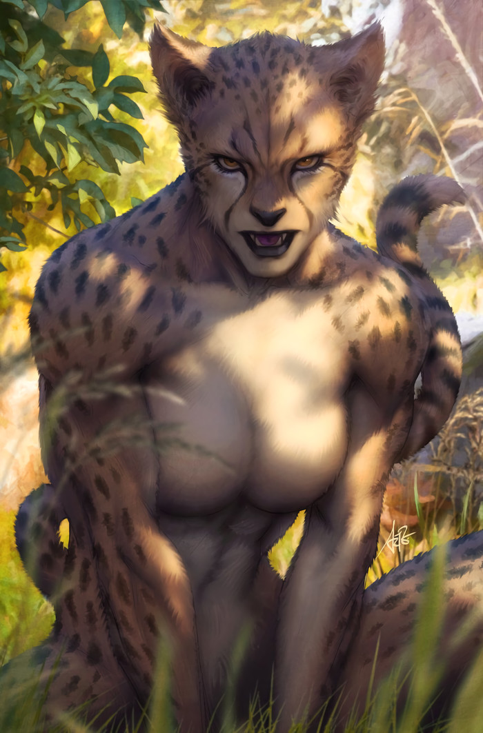  , DC Comics, Cheetah, Artgerm