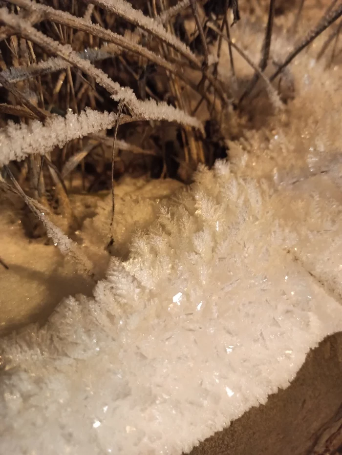 Ice grass - Patterns, Winter, Snow, Scientific photo contest