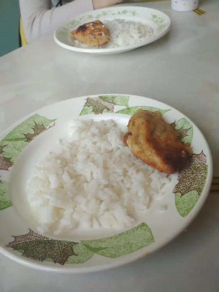 Dinner is served - My, Nutrition, Children food, School, Food, The diet, Ryazan Oblast, Vital, Longpost, School canteen