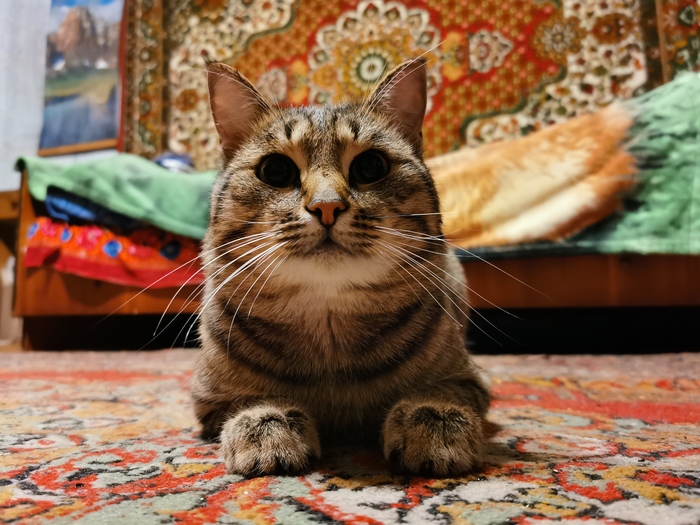 ������� ������� � �������