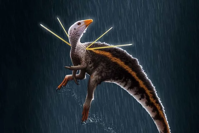 Убираджара джубатус был необычным динозавром Динозавры, Научная статья, Перевод