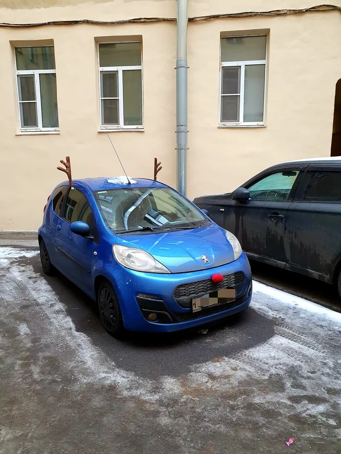 Rudolf from St. Petersburg - My, Saint Petersburg, Rudolf