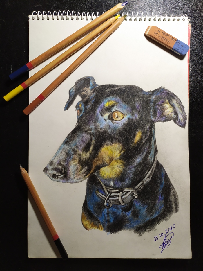 ������� �������� ����������� "����� ������������"