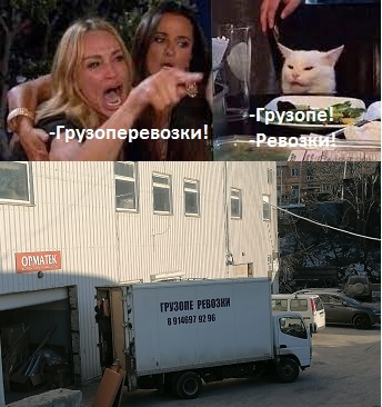 You are in Gruzop! - My, Memes, Cargo transportation, Two women yell at the cat, Picture with text