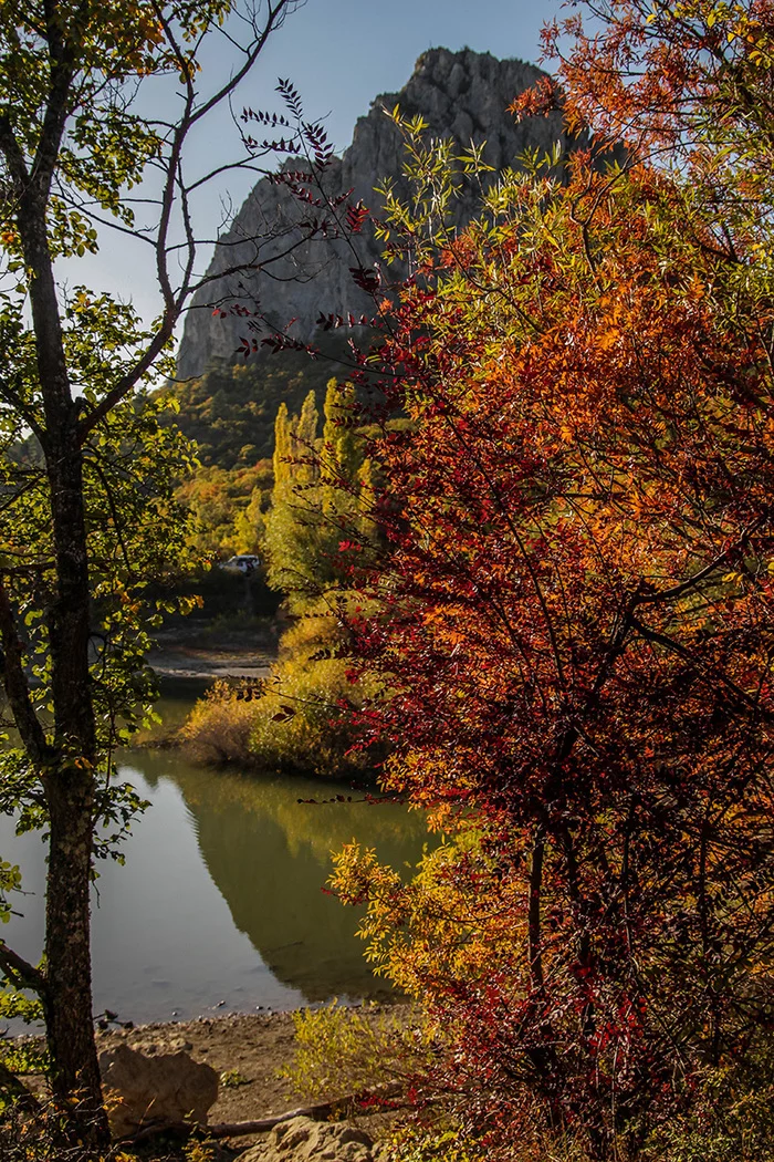 Autumn Crimea - My, Crimea, Autumn, Forest, The mountains, Leaves, Longpost