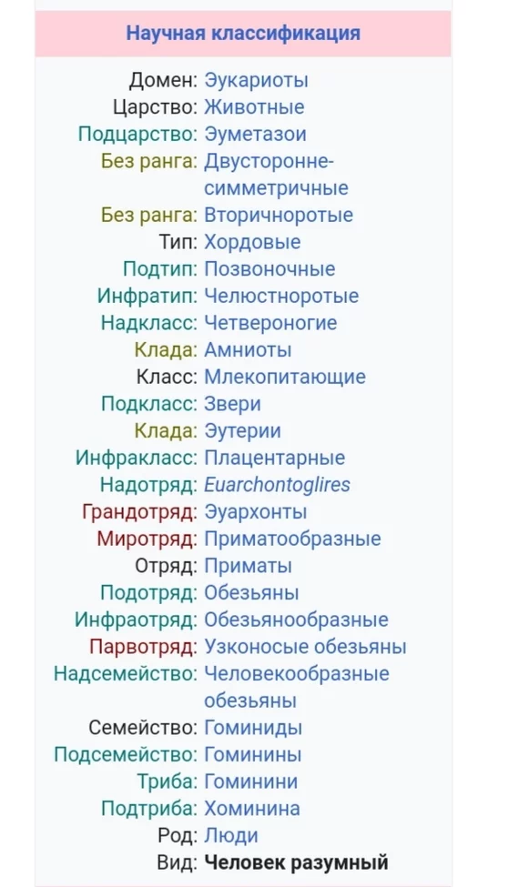 Ответ на пост «А что не так в отношении к слову негры в России?» - Расизм, Рассуждения, Культура, Толерантность, Негры, Black lives matter, Тирания, Ответ на пост, Длиннопост