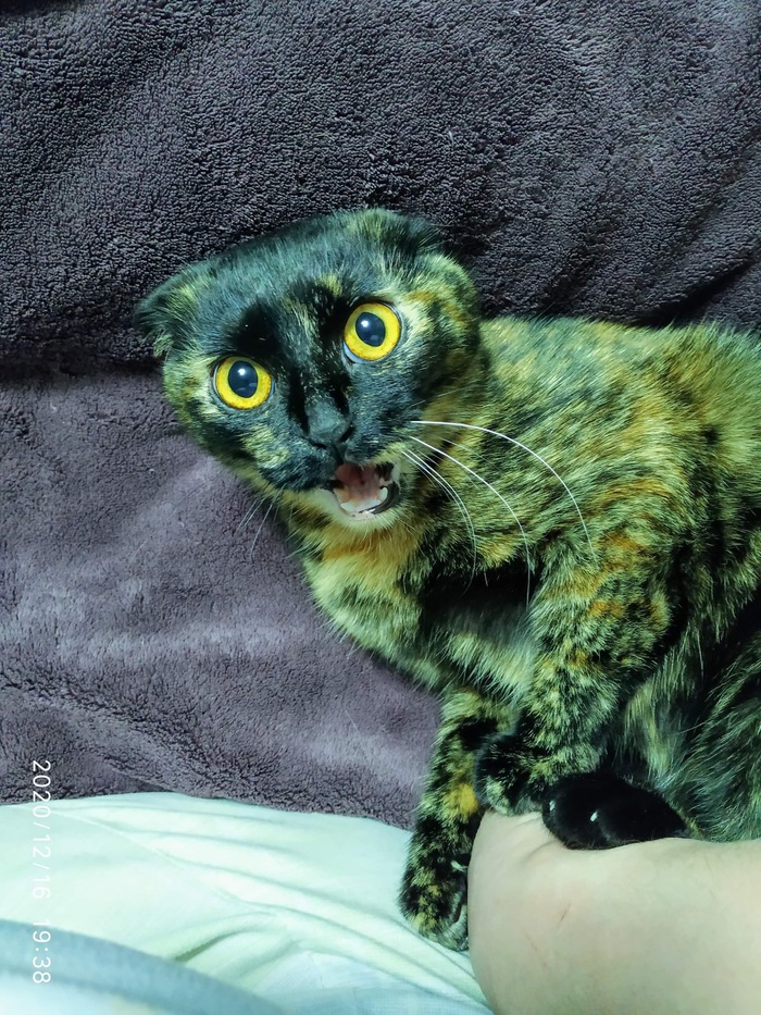 Вот те раз ;)