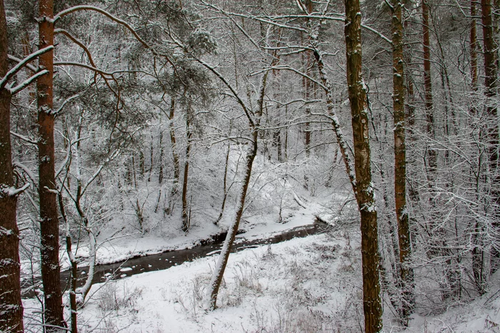 Bitsevsky Park in winter - My, Bitsevsky Park, Nature, Winter, Snow, River, Longpost