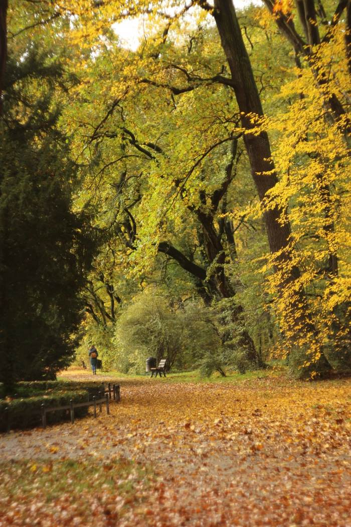 Hat in Peekaboo - Photographer, Wroclaw, Haters, The park, Autumn, Longpost, The photo