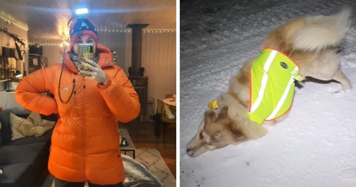 The girl told how she has to walk the dogs, and it's more like an expedition - Dog, Polar bear, Walk, Island, Spitsbergen, polar night, Video, Longpost