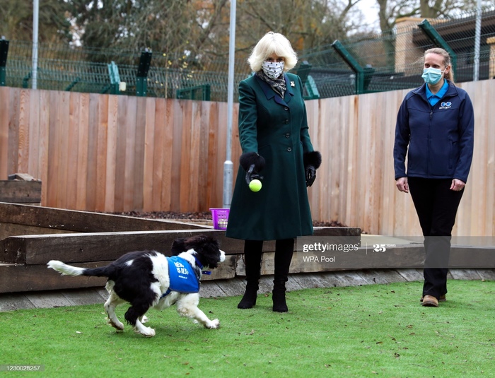 Королевские семьи в ожидании рождества. Фото пост Королевская семья, Великобритания, Монако, Бельгия, Швеция, Рождество, Разное, Фотография, Длиннопост