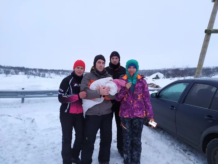 Unusual Passenger - Murmansk, Stork, Animal Rescue, Animal defenders, Red Book, Murmansk region, Kindness, Longpost, Birds