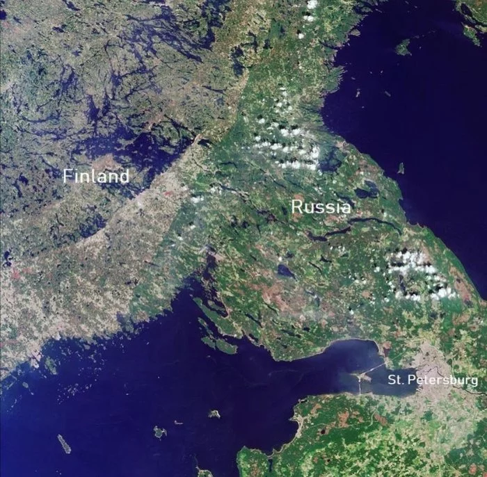 The border between Finland and Russia on the Karelian Isthmus is very clear - Finland, Russia, Felling, Nature, The border, Ecology