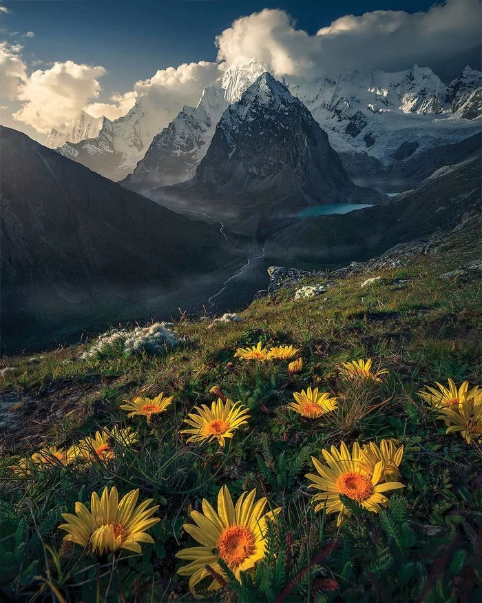 Siula Grande, Peru - The photo, The mountains, Flowers, Reddit, Peru