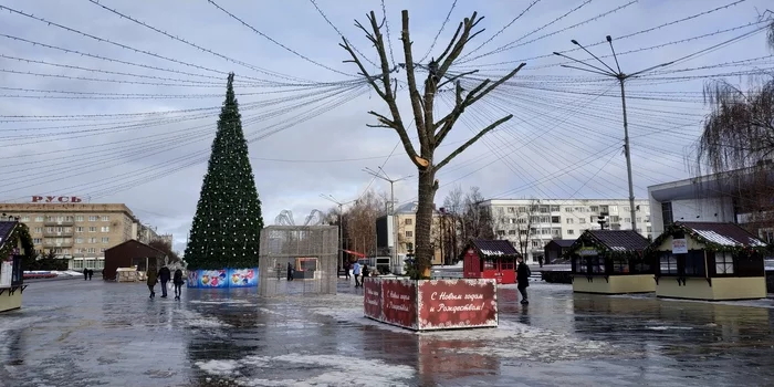 Каждый выбирает свою ёлку - Новый Год, Уличная фотография, Город Орел