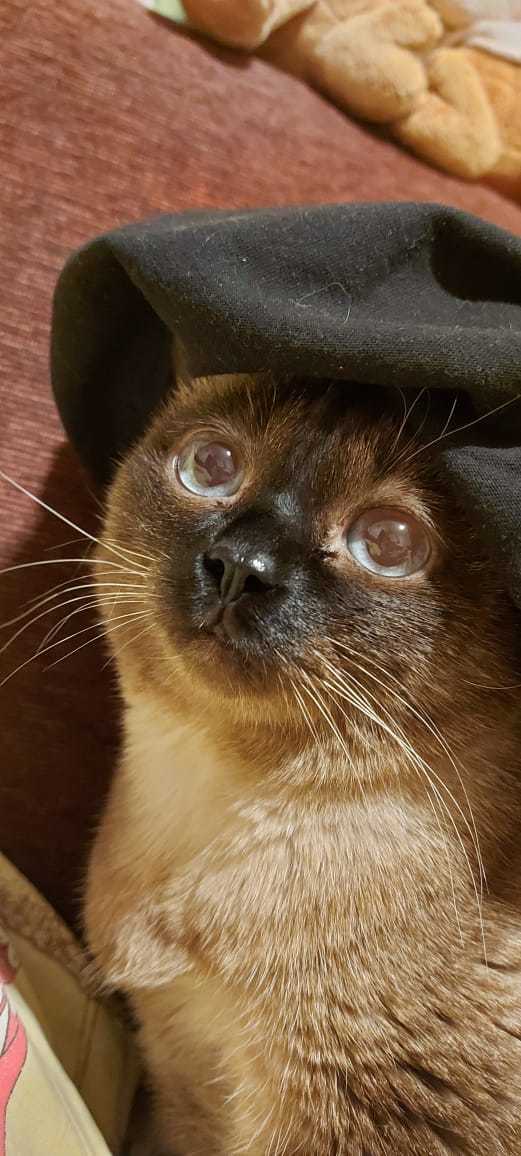 ������� � ��������� ���