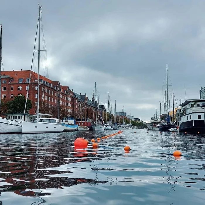 Дания: добро пожаловать или посторонним вход воспрещен Дания, Европа, Путешествия, Интересное, Иммиграция, Длиннопост
