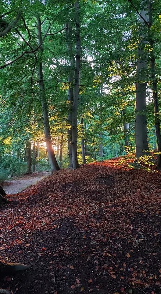 Дания: добро пожаловать или посторонним вход воспрещен Дания, Европа, Путешествия, Интересное, Иммиграция, Длиннопост