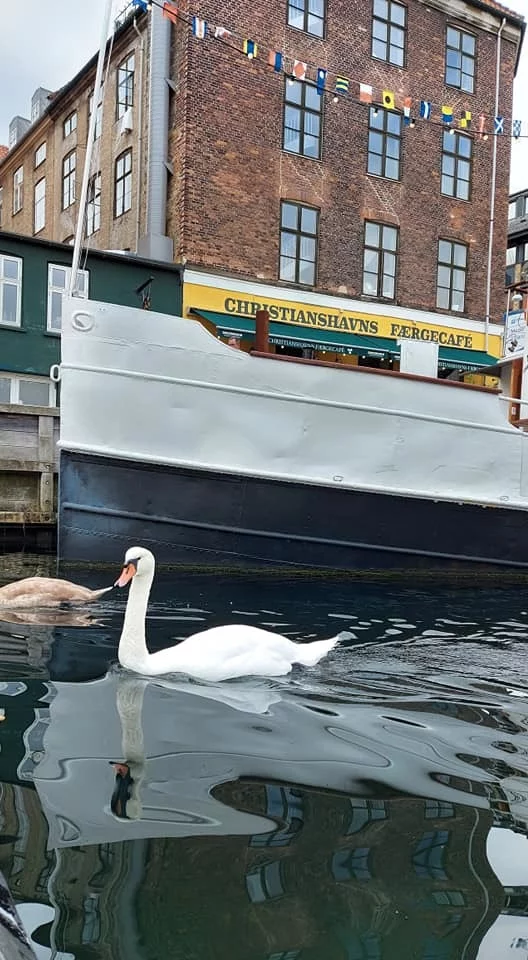 Дания: добро пожаловать или посторонним вход воспрещен Дания, Европа, Путешествия, Интересное, Иммиграция, Длиннопост