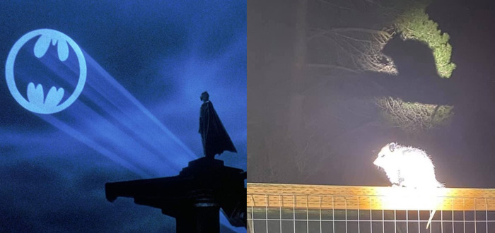 Рисунок в моей голове/ рисунок на бумаге