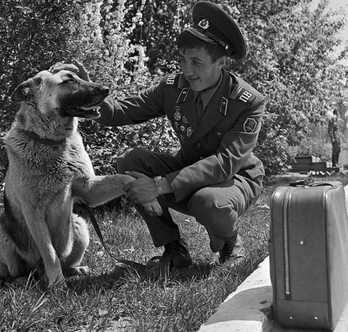 A border guard says goodbye to a service dog before leaving for the reserve, 1980s - Military service, Border guards, German Shepherd, Parting, Dembel, Historical photo, Cynology, Black and white, , The photo, Dog