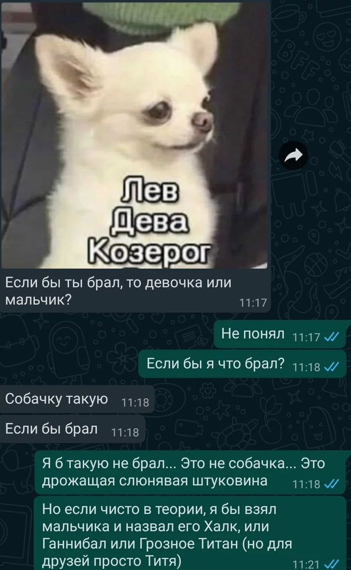 Пёс Титан - Моё, Скриншот, Собака, Whatsapp