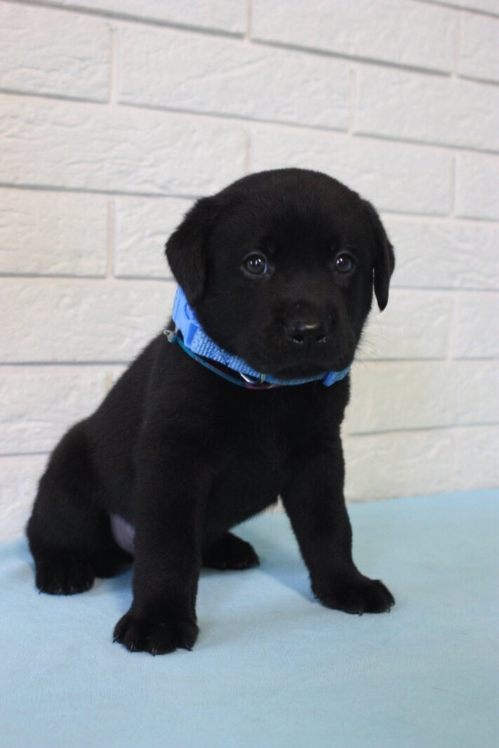 �������!