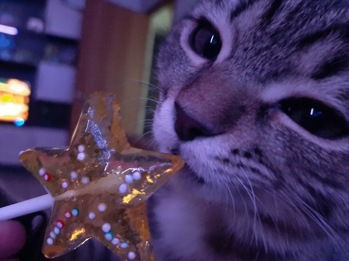 Новогоднее настроение