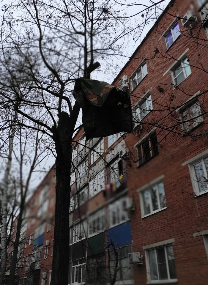 Хоттабыч припарковался