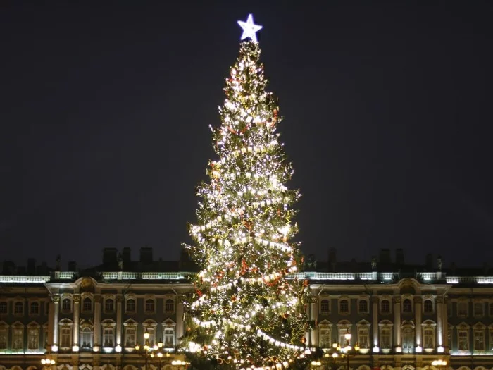 Police, protect the Christmas tree - My, Christmas trees, Police, Dialog, Humor, Saint Petersburg, Mat