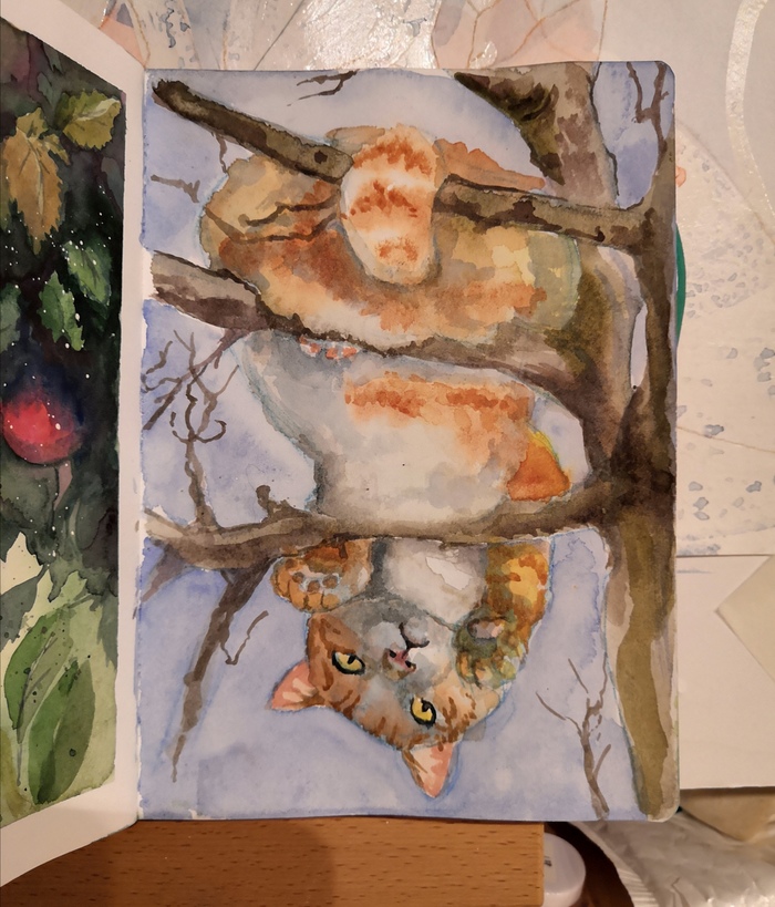 ������ �... �����