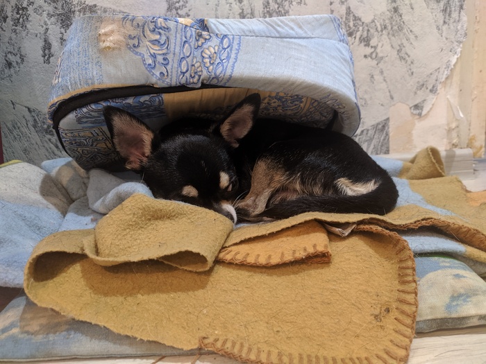 Под шконкой