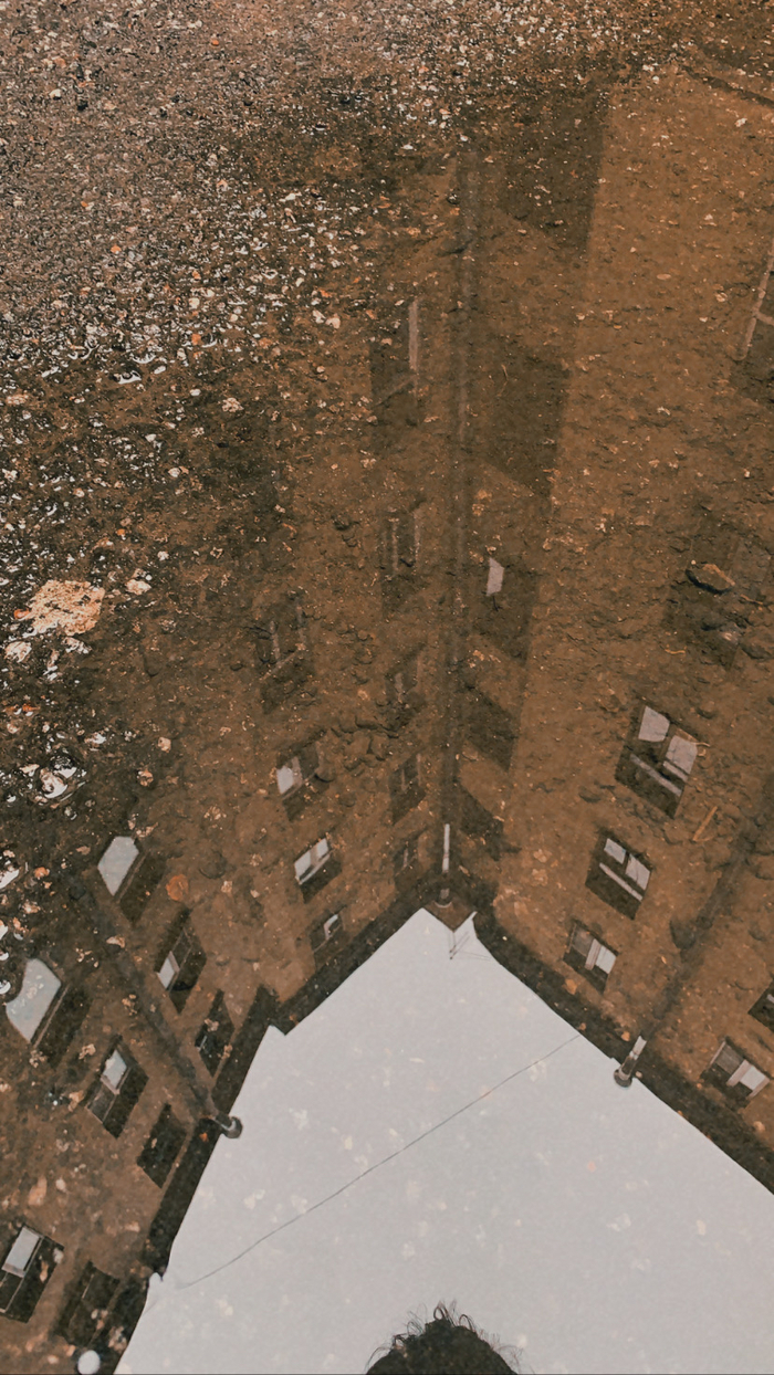 Ответ на пост «После дождя»