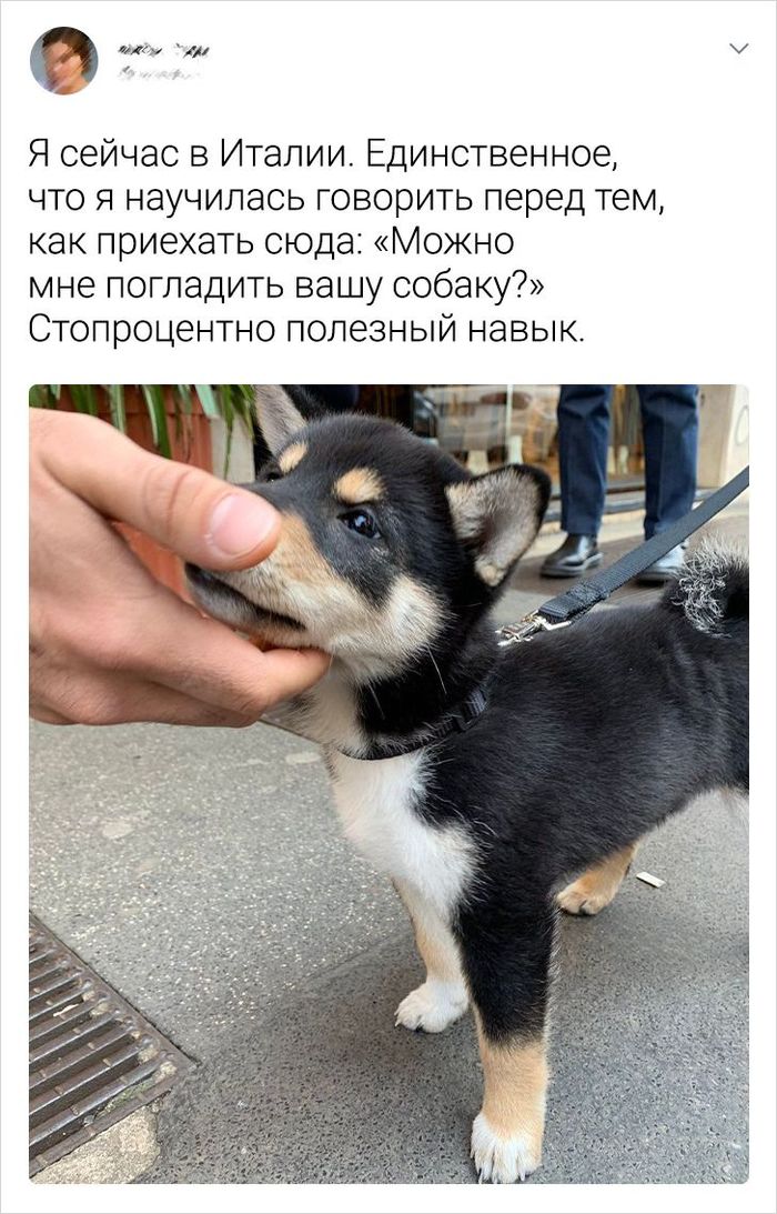 ������� ������