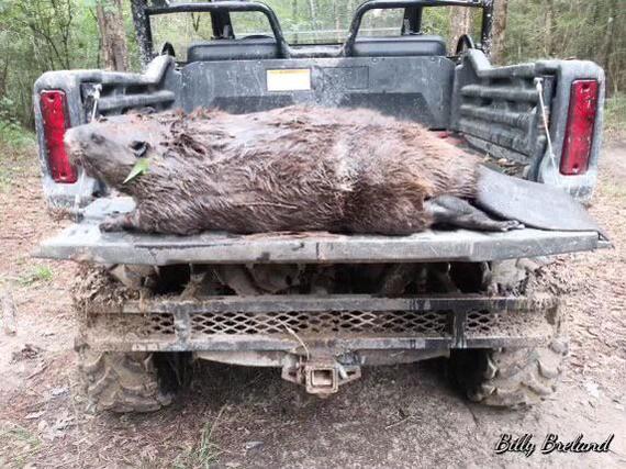 ������������ �����!