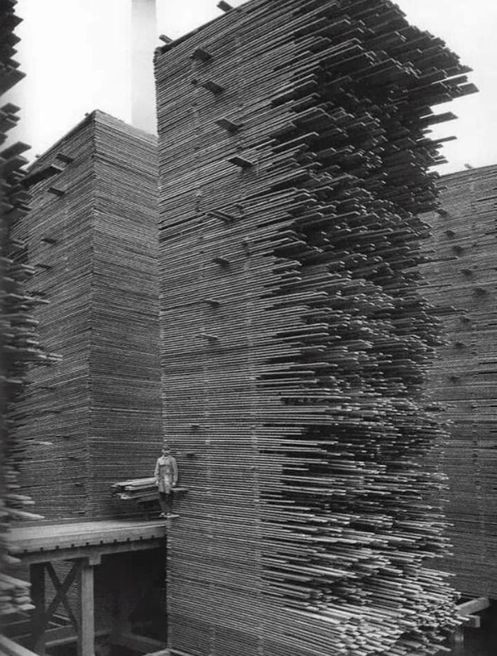 Boards are dried in the warehouse of a woodworking plant. Ballard, Seattle, circa 1919 - Sawmill, Seattle, Board, Warehouse, Longpost