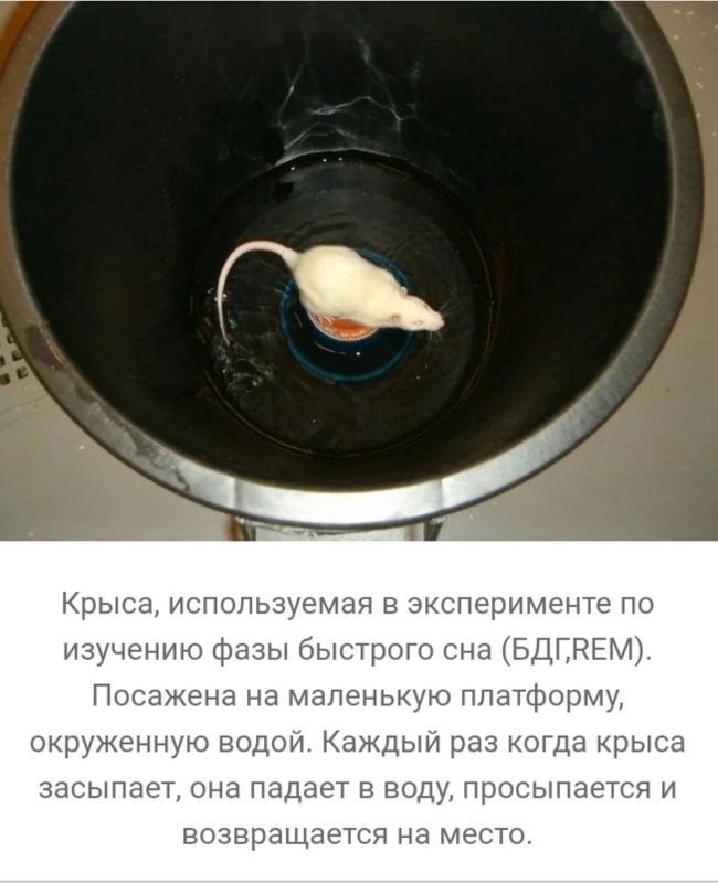 что такое вивисекция в ведьмаке. 1608463243167841847. что такое вивисекция в ведьмаке фото. что такое вивисекция в ведьмаке-1608463243167841847. картинка что такое вивисекция в ведьмаке. картинка 1608463243167841847. Сериал «Ведьмак» от Netflix оказался немного сложным, но у любителей саги о Геральте из Ривии есть простое и элегантное решение проблемы — цветная диаграмма. И если бы по сериалу делали учебник, то этот иллюстративный материал стал бы его украшением. Фанат экранизированного «Ведьмака» собрался с силами, пересмотрел его и составил наглядное пособие, которое поможет легко разобраться во всех перипетиях сериала.