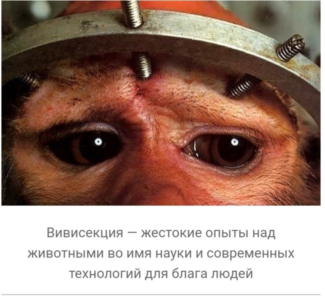что такое вивисекция в ведьмаке. 160846324317371653. что такое вивисекция в ведьмаке фото. что такое вивисекция в ведьмаке-160846324317371653. картинка что такое вивисекция в ведьмаке. картинка 160846324317371653. Сериал «Ведьмак» от Netflix оказался немного сложным, но у любителей саги о Геральте из Ривии есть простое и элегантное решение проблемы — цветная диаграмма. И если бы по сериалу делали учебник, то этот иллюстративный материал стал бы его украшением. Фанат экранизированного «Ведьмака» собрался с силами, пересмотрел его и составил наглядное пособие, которое поможет легко разобраться во всех перипетиях сериала.
